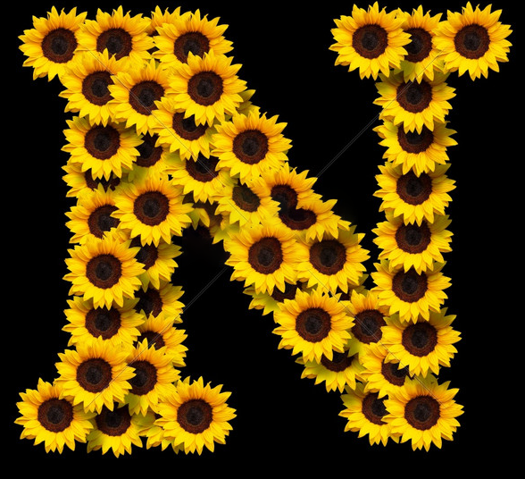 芯片设计|网站使用背景图片有哪些注意事项？