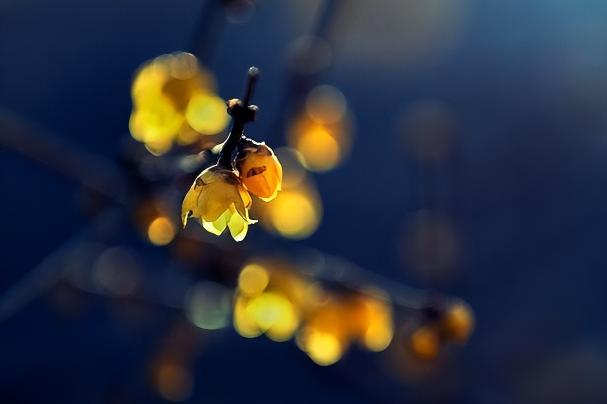 |一位中年女人的醒悟:伺候丈夫半辈子,老了才发现两个残酷真相