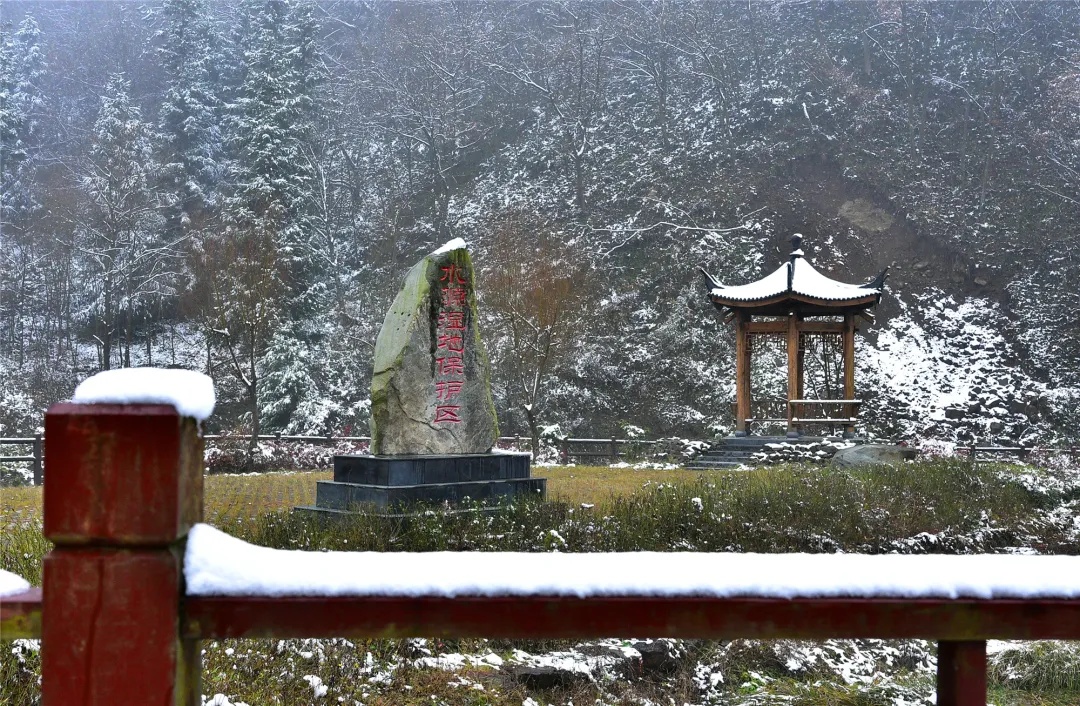 三亚|陕南：金沙河畔落初雪