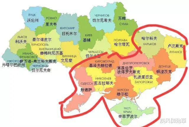 俄空天军:大鱼落网基本属实!泽连斯基9岁儿子指挥大反攻?