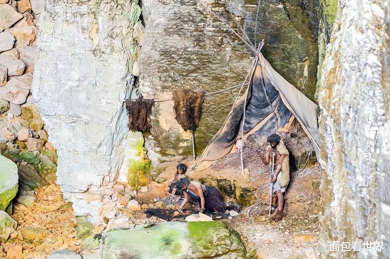 猛犸象、剑齿虎,人类祖先在壁画上描绘的巨型动物为何会大灭绝?