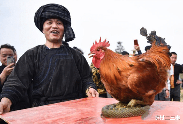 农村神奇的“定鸡术”“弓鱼技”,是巫术还是科学?其原理是啥?
