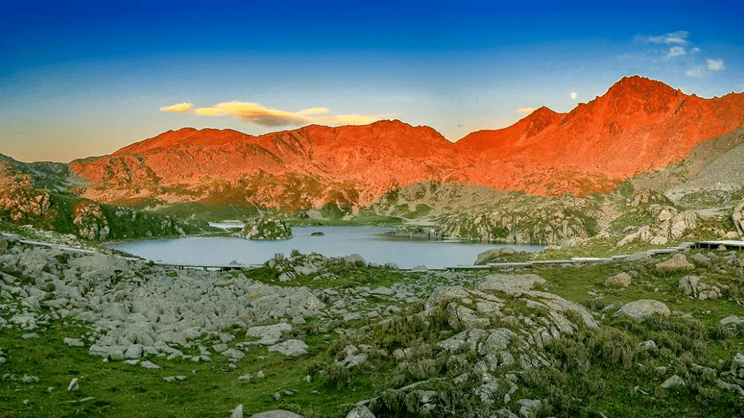 高原|5月26日开园！！俄么塘花海，已经开始美了！