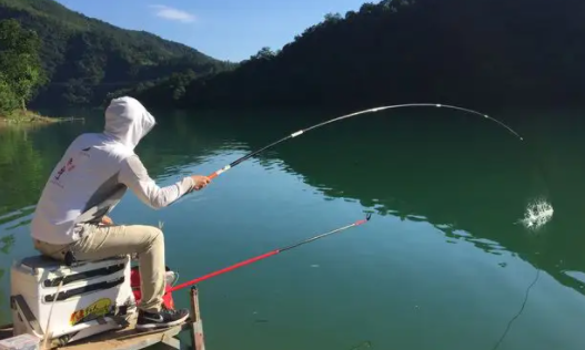 |黑坑精英赛,黑坑大师分段位,新增钓鱼鄙视链,没钱钓不起鱼了