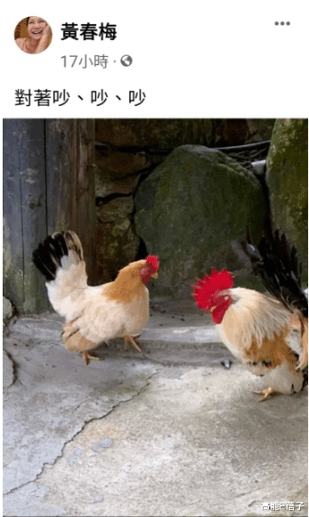 大S|矛盾升级！大S妈妈拒见具俊晔，再度怒呛：不要来抢我的女儿