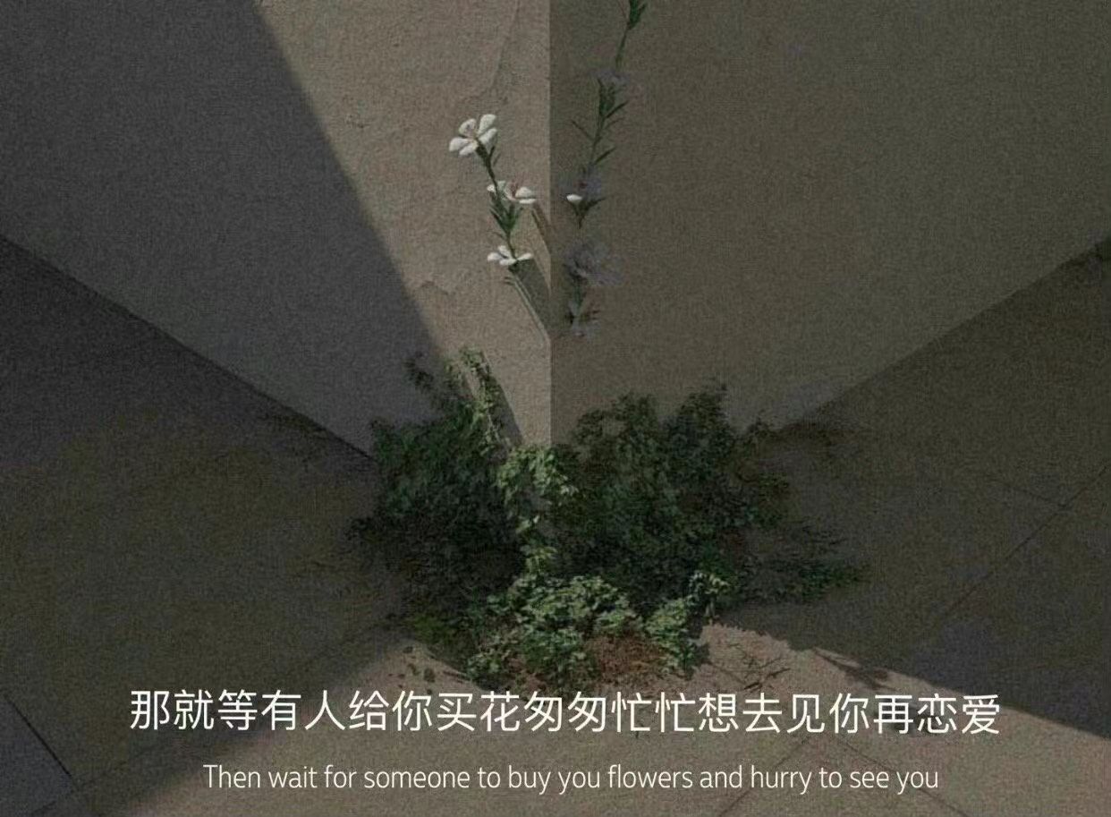 魅族|小众高级感文案