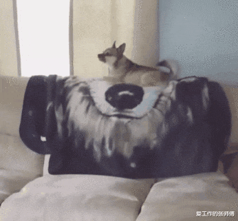 商丘|“华为1996年的招聘广告，大家自己感受一下！”哈哈哈哈人才啊