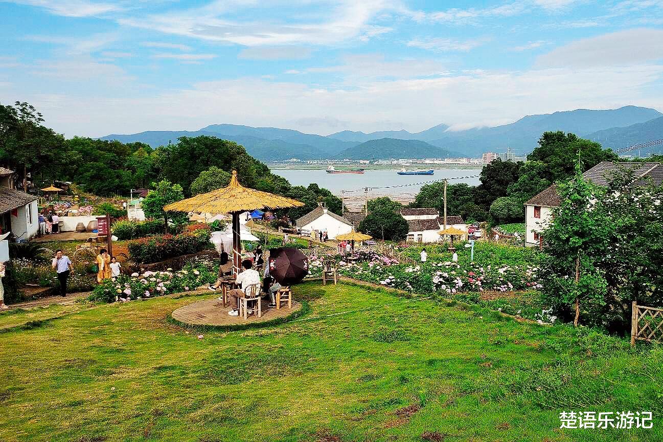 绣球花|浙江宁波又有一个景点火了，古村、海滩、绣球花海美如画，还可露营