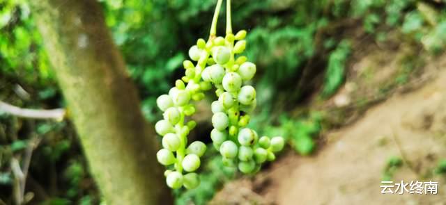 玄奘大师|不说南京玄奘寺了，还是看看秦岭里的玄奘大师埋骨之地的山水吧