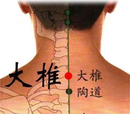 过敏性鼻炎|人体特效退烧穴