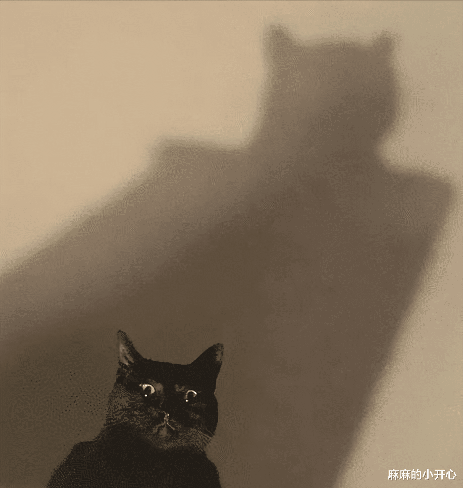 “刚提的新车,还没到家就撞成这样...”真是佩服你的技术啊!