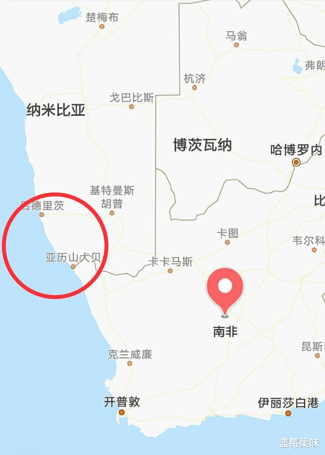 蛙界中的异类,不会跳不会唱也不会游泳的青蛙——\馒头蛙\