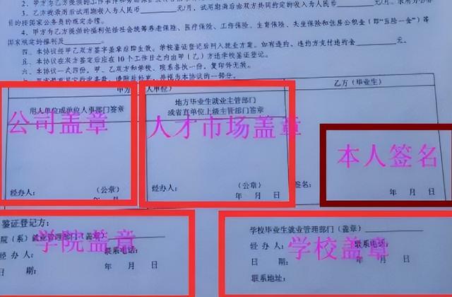 应届毕业生|应届毕业生别乱签合同，必须要了解清楚，以免自找麻烦