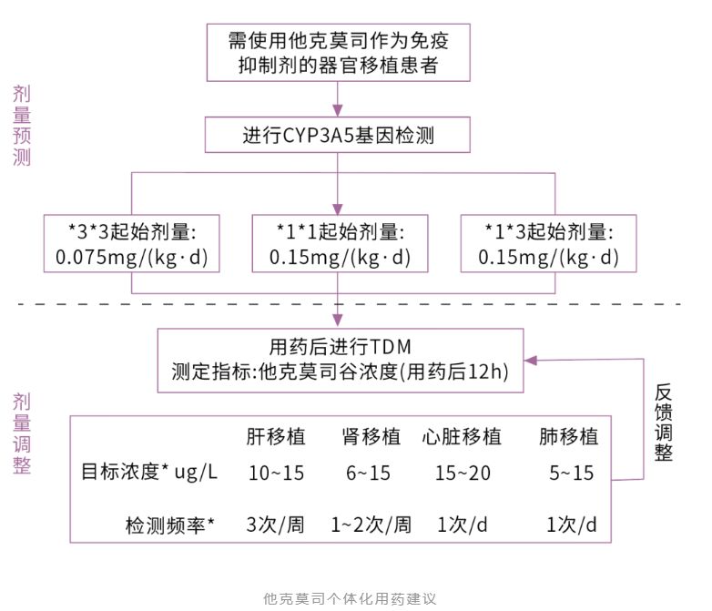 达安科普:分子诊断技术在免疫抑制剂使用上的应用