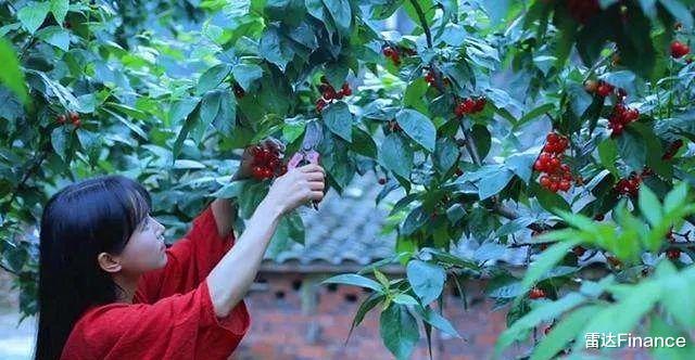 李子柒|李子柒与微念和解，后者所持子柒文化股权缩水至1%退出高管序列