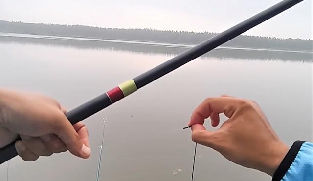 |野钓总是一钩中鱼？如何调整？用双铅坠钓法钓鱼究竟如何操作？