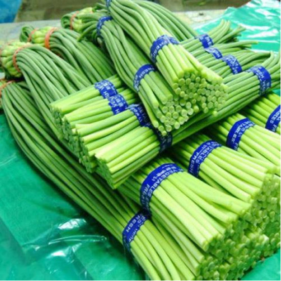 洋葱|夏季养肝，建议多吃5种“辛味食物