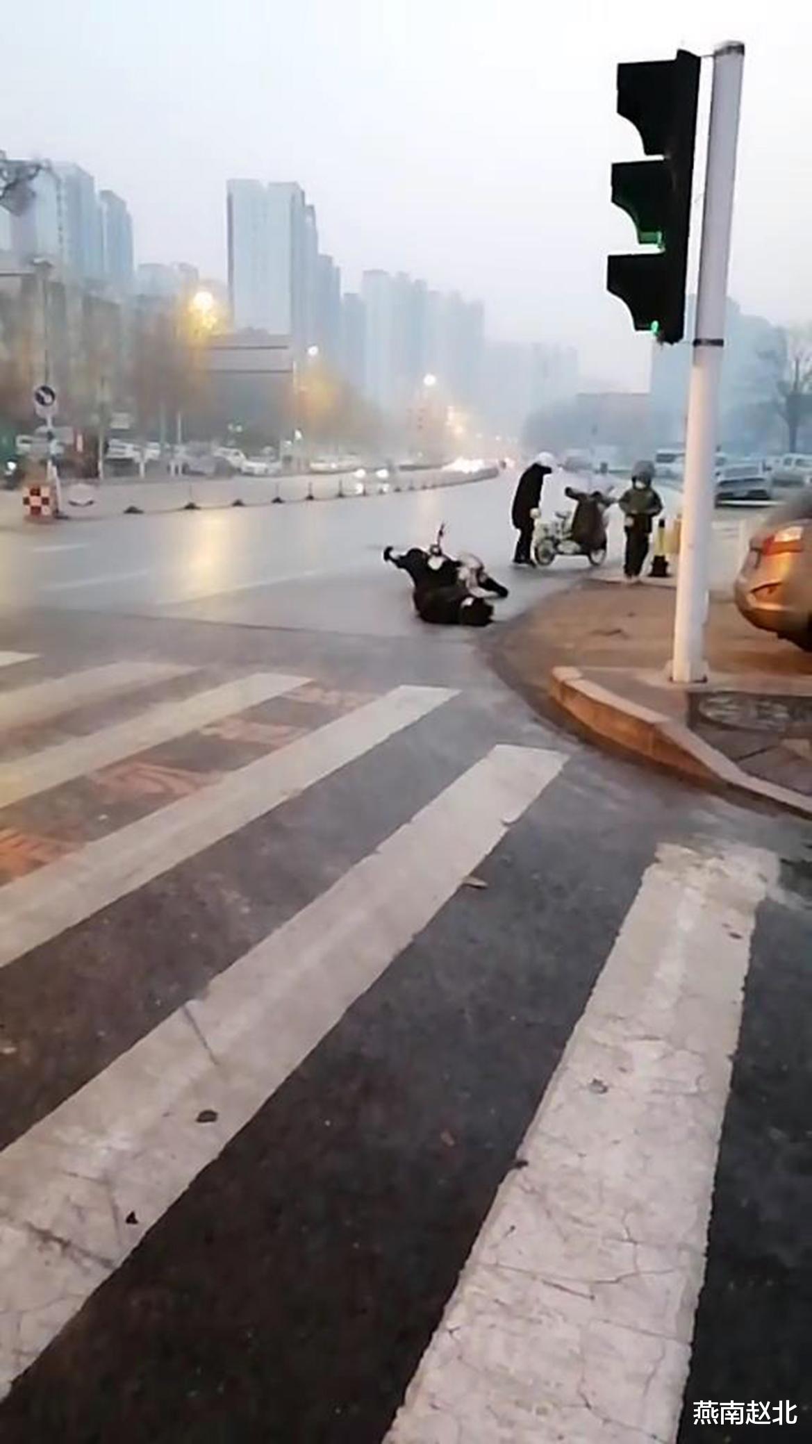 今天你摔了吗?保定雨后路面结冰摔倒者众,扶不扶首先是医学问题