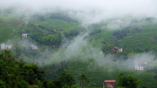 梯田|湖南这个小山村,曾是有名的“贫困雷击村”,现却成为旅游胜地