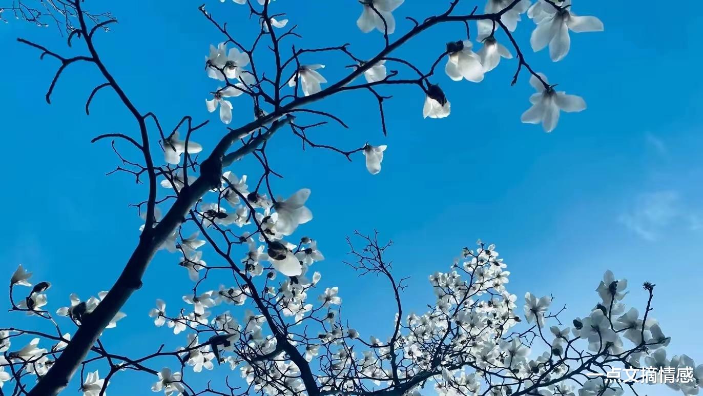 人才房|男友的婚前房产,每月还贷7000元,我的婚后权益该如何保障