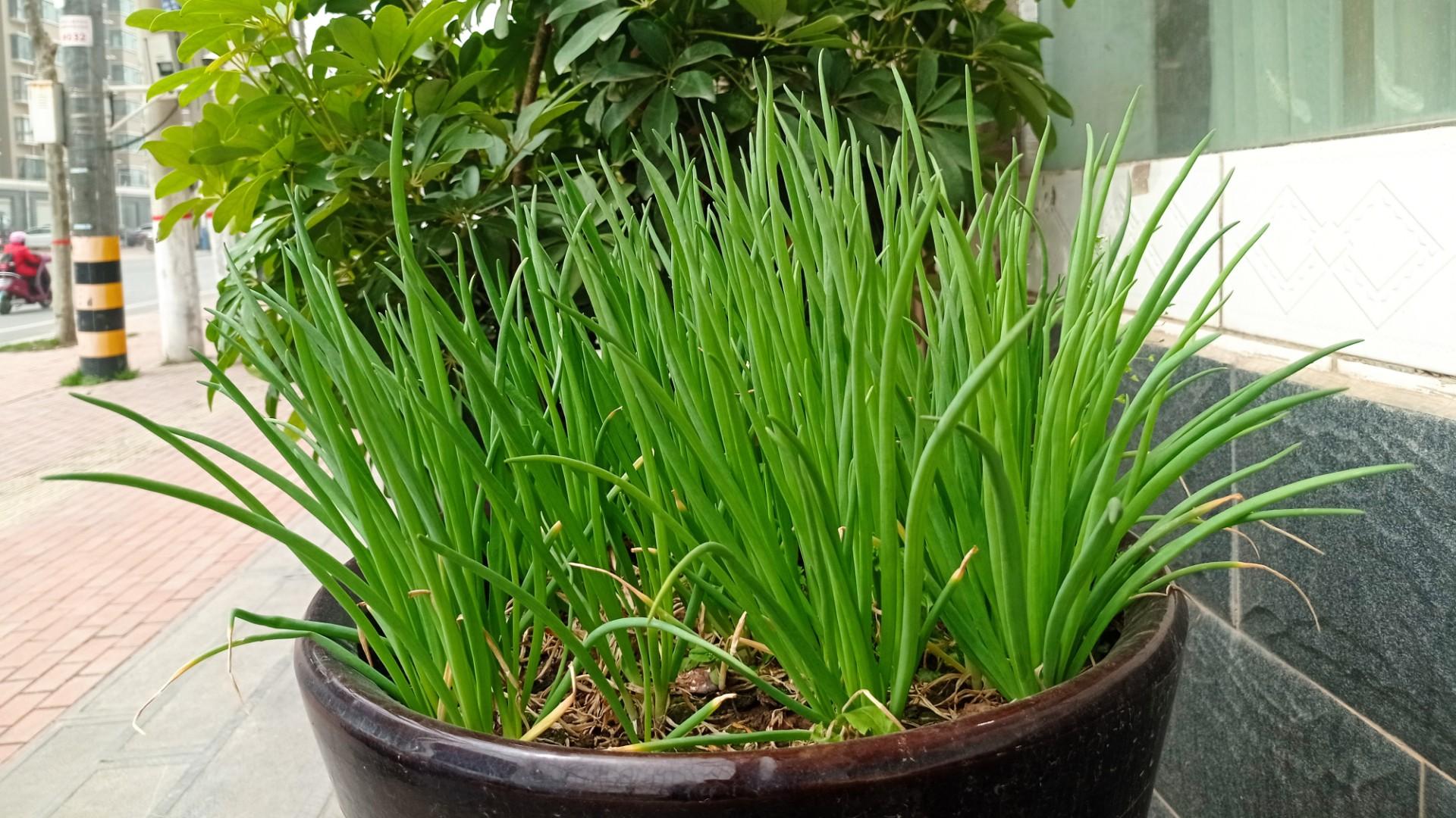 |这四种事情，绝对不能和领导说，否则你很难得到重用