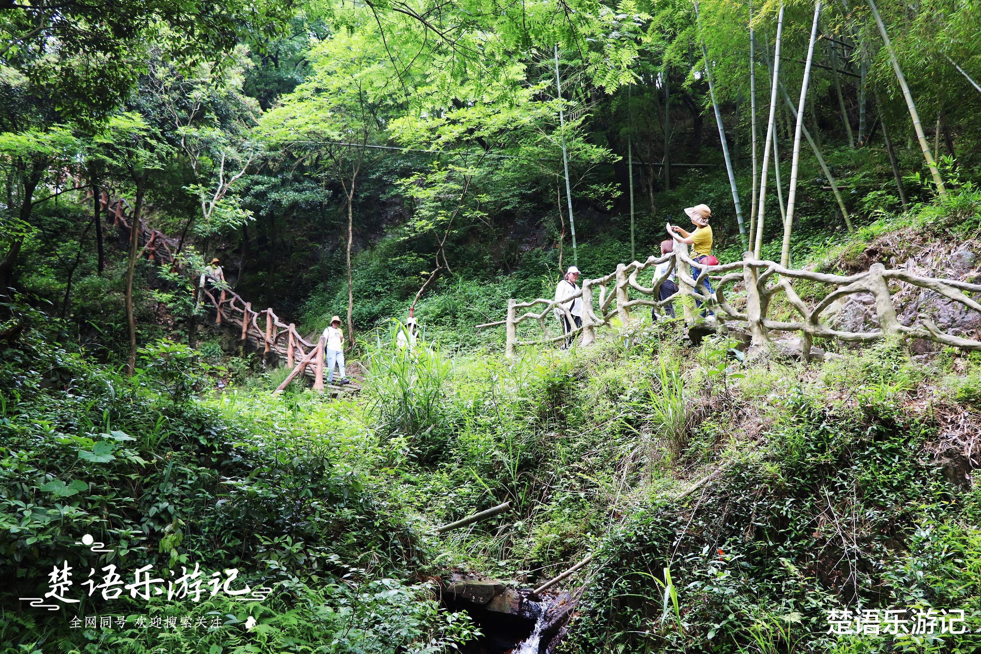 宁夏|宁波城西的美丽乡村,山涧古道瀑叠溪清,堪称浙东新九寨,美呆了