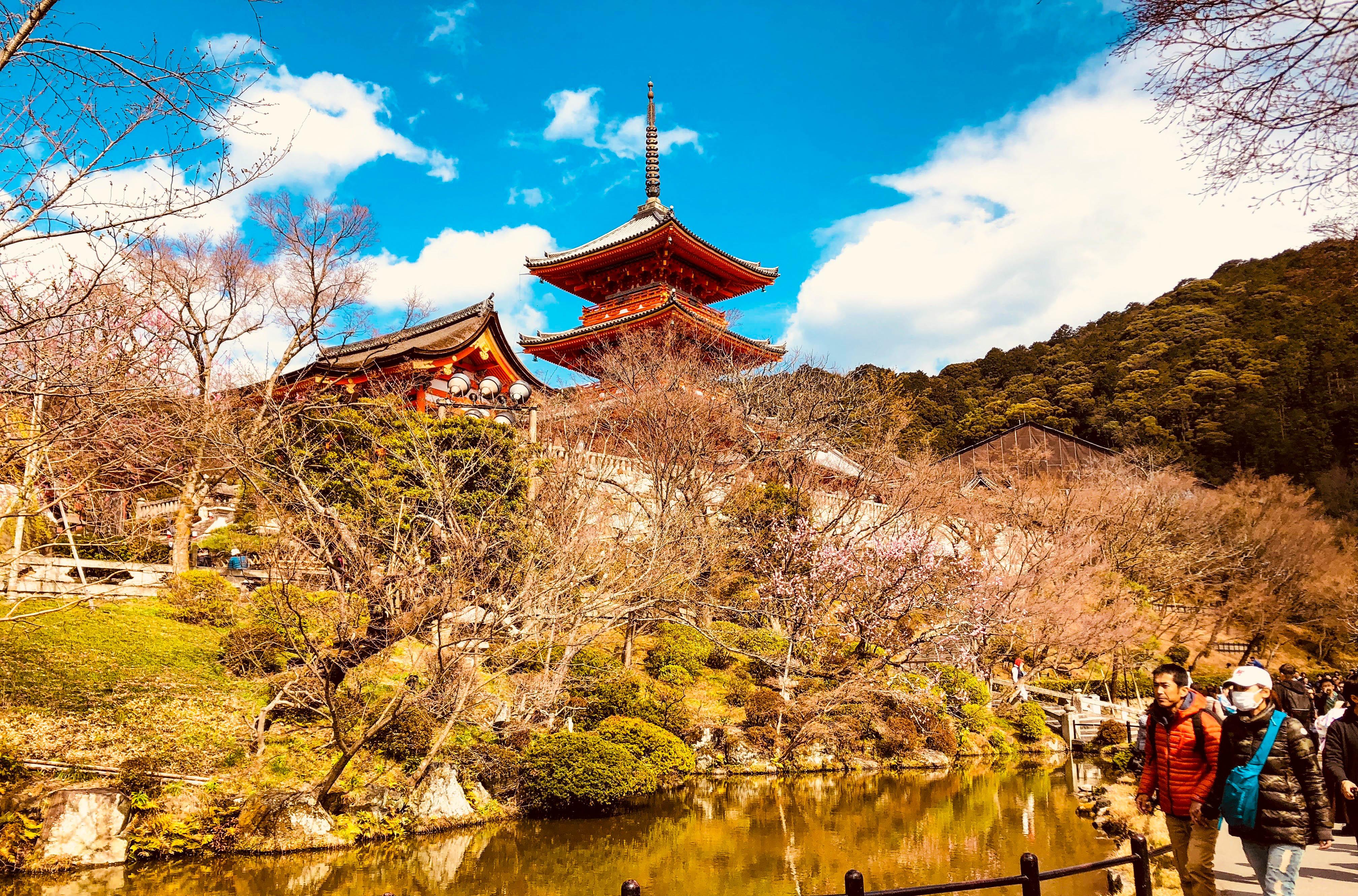 京都大学|京都超省钱旅游攻略，带你玩转日本版“小长安”，品味大唐遗风