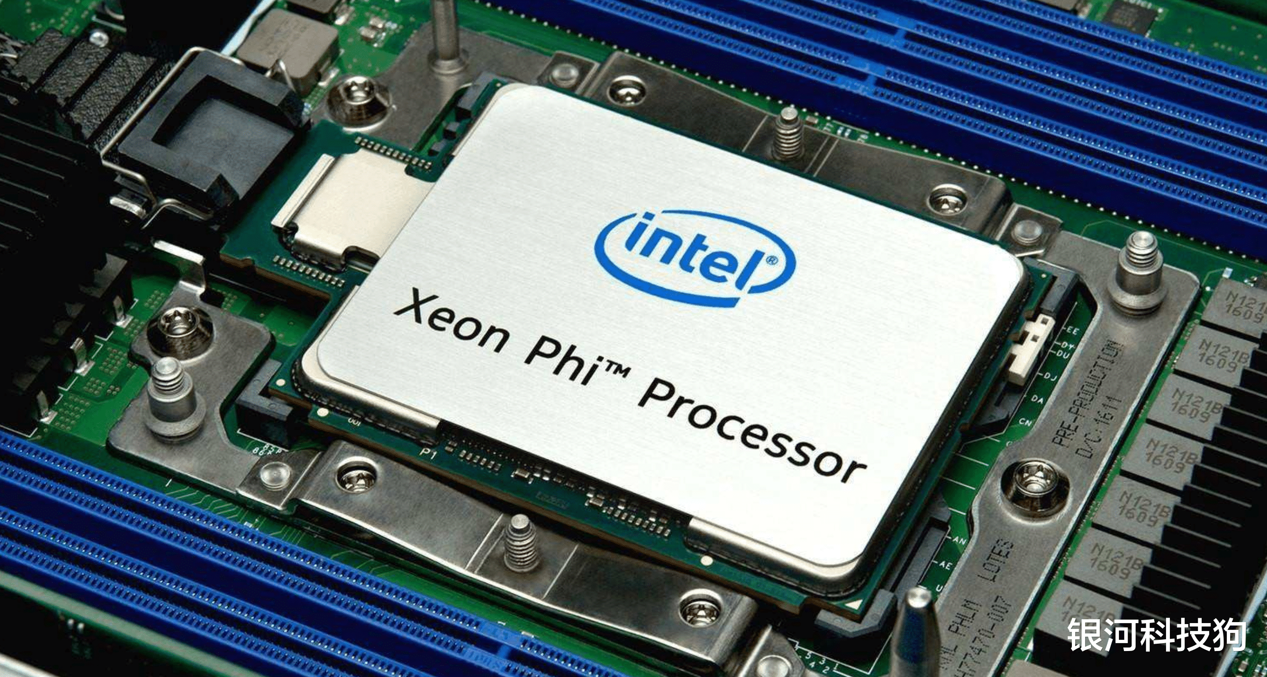 |英特尔显卡如何“站起来”?挖AMD的人,打败英伟达和AMD,行吗?