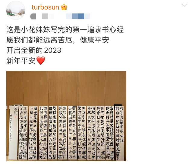 孙俪|孙俪在上海公园扎马步写毛笔字！打扮随性运动风，字迹工整被夸赞