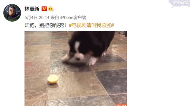 林更新|他把老婆作没了?!