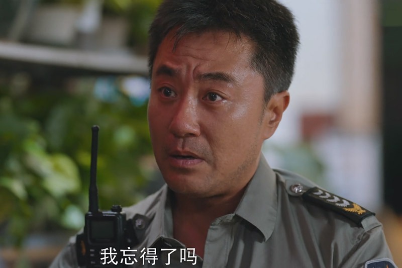 碧桂园|《警察荣誉》全剧最通透的王守一:他的一句话,打了多少男人的脸