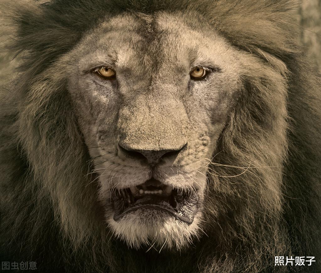 学会这9个实用的摄影构图,不要再说你不会拍照!