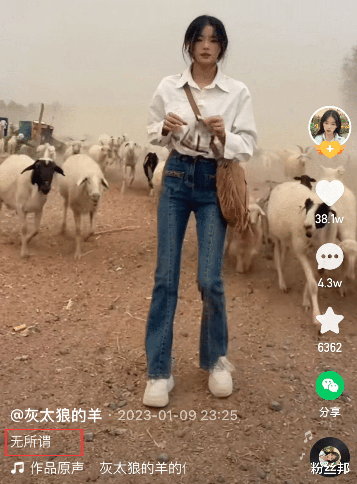 灰太狼|灰太狼的羊换平台直播,否认有经纪人的存在,开播的心态很强大