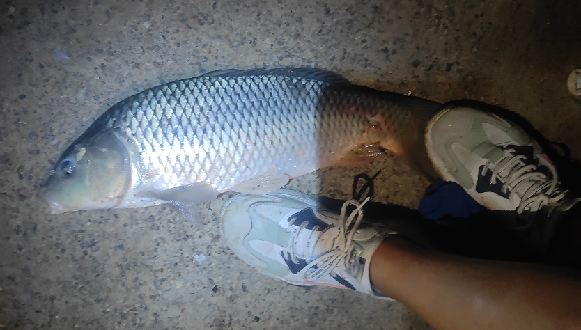 中暑|钓鱼人外出作钓,经常忽视一点,王者之战给钓鱼人上了生动一课