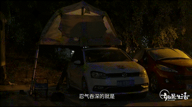 周海媚|靠美貌征服多位男神,56岁的女明星无夫无子:你怎么堕落成这样了