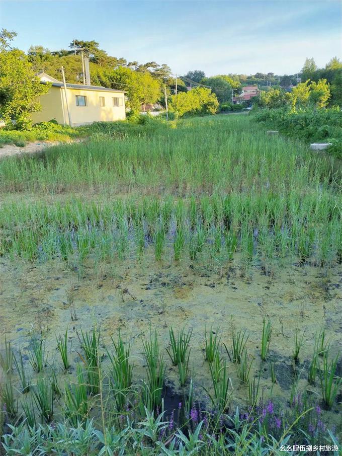 密云|北京密云不老屯半山腰民宿，最适合公司团建烧烤垂钓，包院才1280