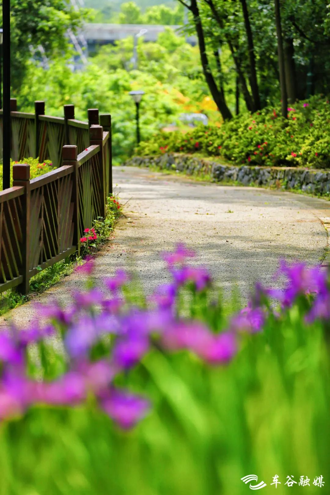 园林|一路向南，去车谷观山