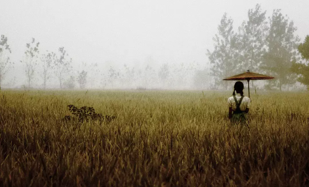 蒋雯丽|蒋雯丽的“私人订制”,剧本耗时四年,丈夫顾长卫拒绝参与