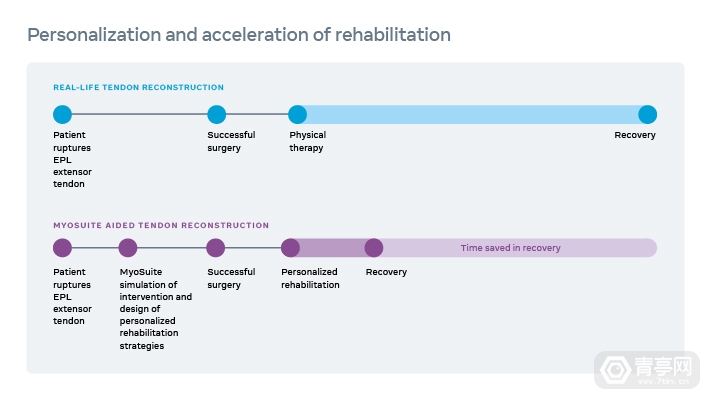 电子商务|虚拟化身动作不协调?Meta开源肌肉骨骼动力学模型MyoSuite