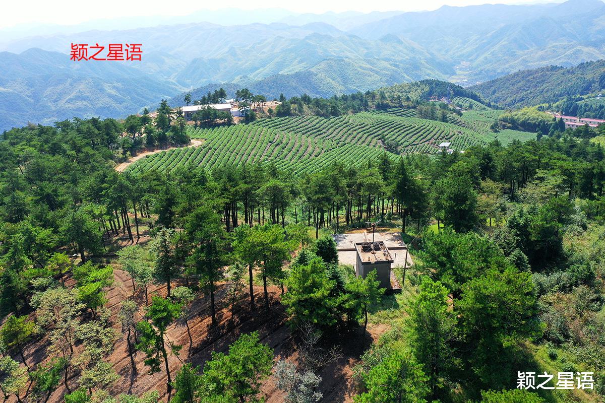 伊春|宁海至新昌，山水之间，美丽的风景线
