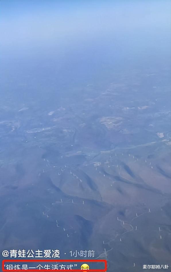 谷爱凌|18岁谷爱凌坐飞机，携全家去美国！写9个字，3天3个活动等她参加