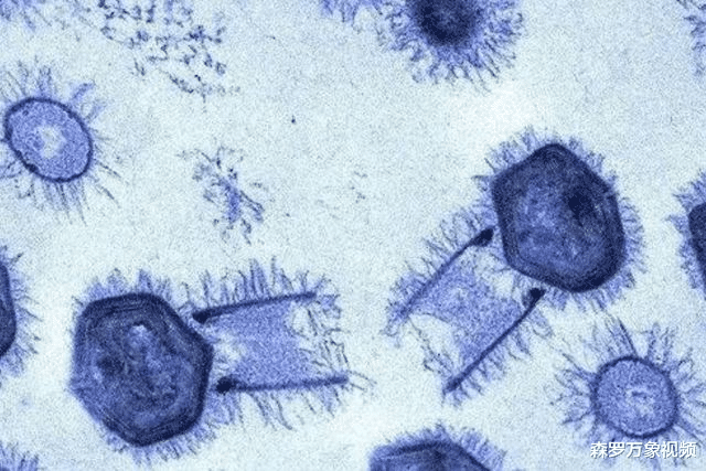 卫星在地球上拍到“巨型蝌蚪”,科学家们担忧不已,意味着什么?