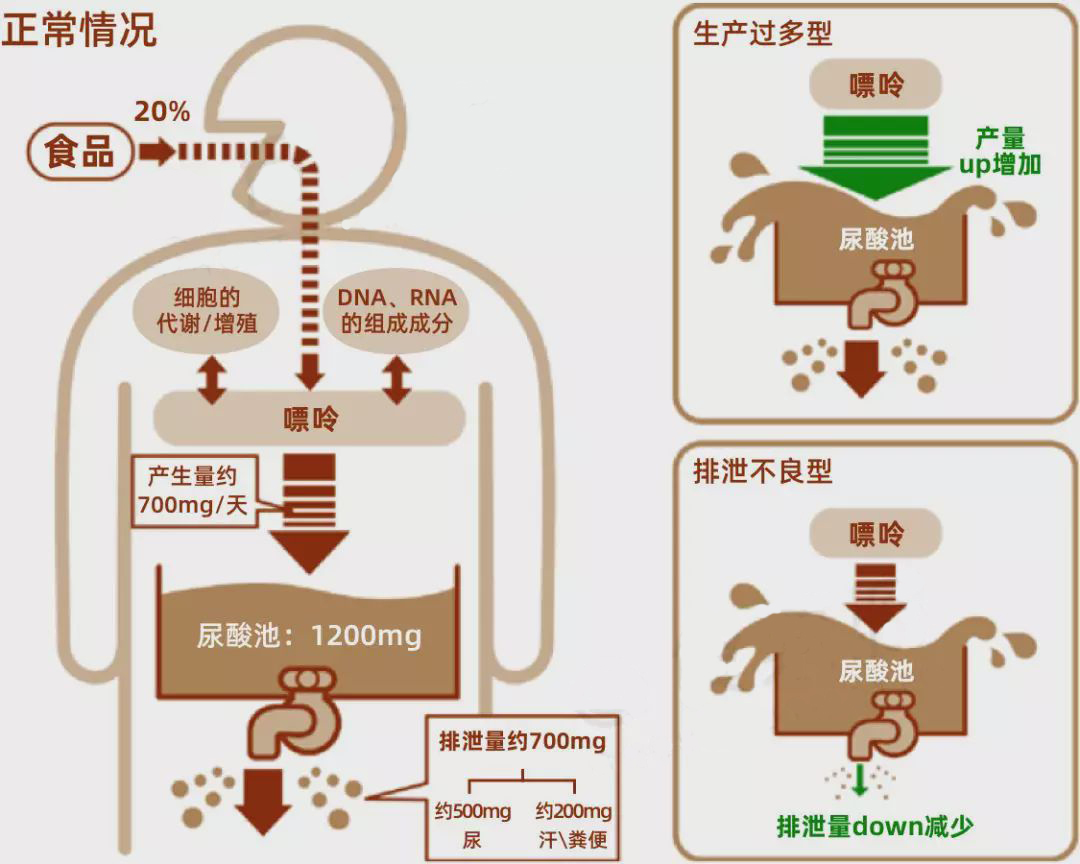 滑膜炎|得了滑膜炎应该怎么办？