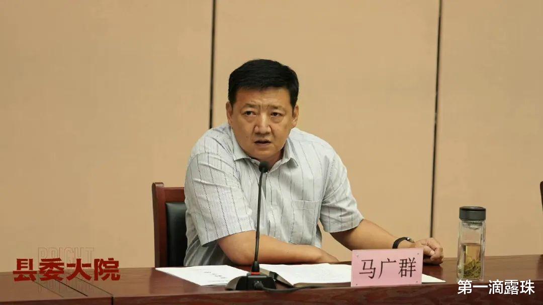 黄磊|《县委大院》:配角比主角出彩!演员演技大评点,黄磊倒数冤不冤