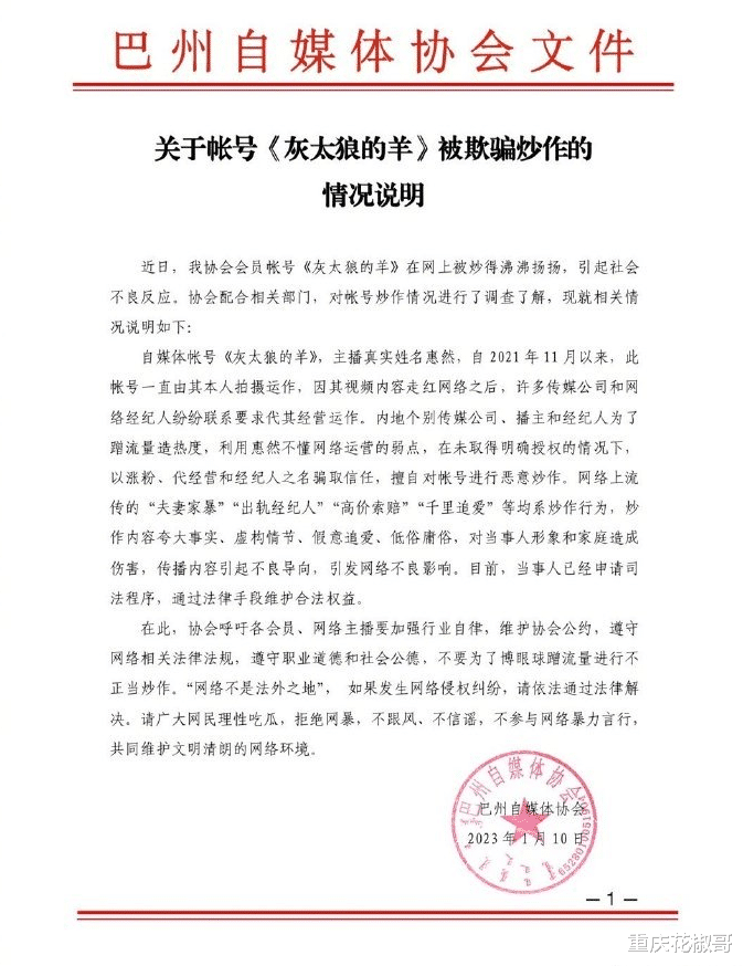 气愤!女网红为炒作,竟称自己被家暴!当地协会发文回应