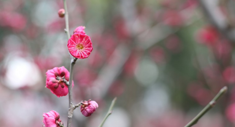 |最完美的工作状态，抬头就能看到光亮