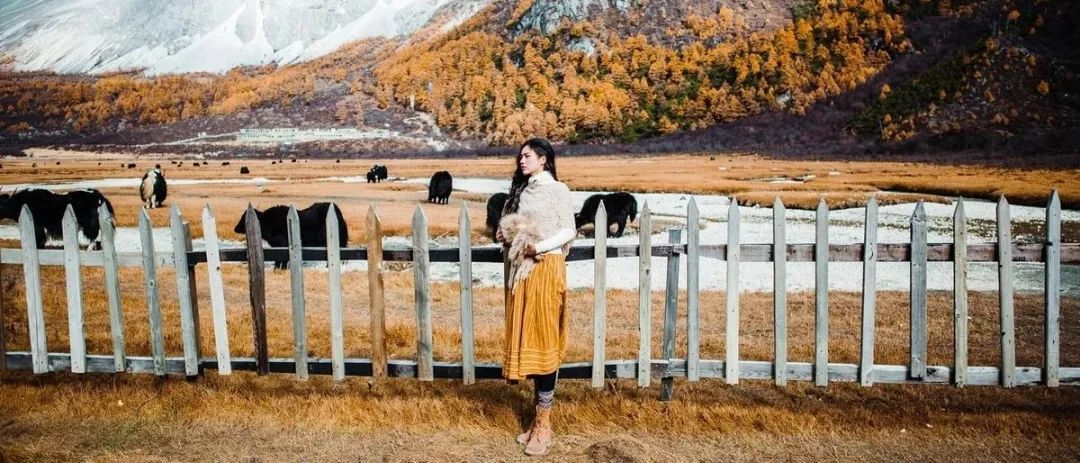 川西|1次秋日川西,相当于走遍半个中国