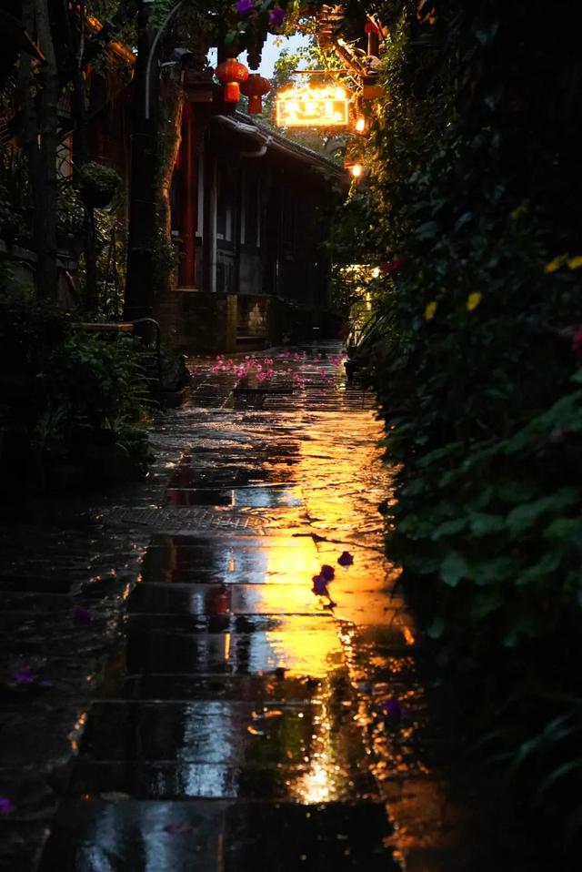 成都|不去厦门!成都也能打卡同款“荧光海”,20℃的森趣山林轻徒步巴适惨!