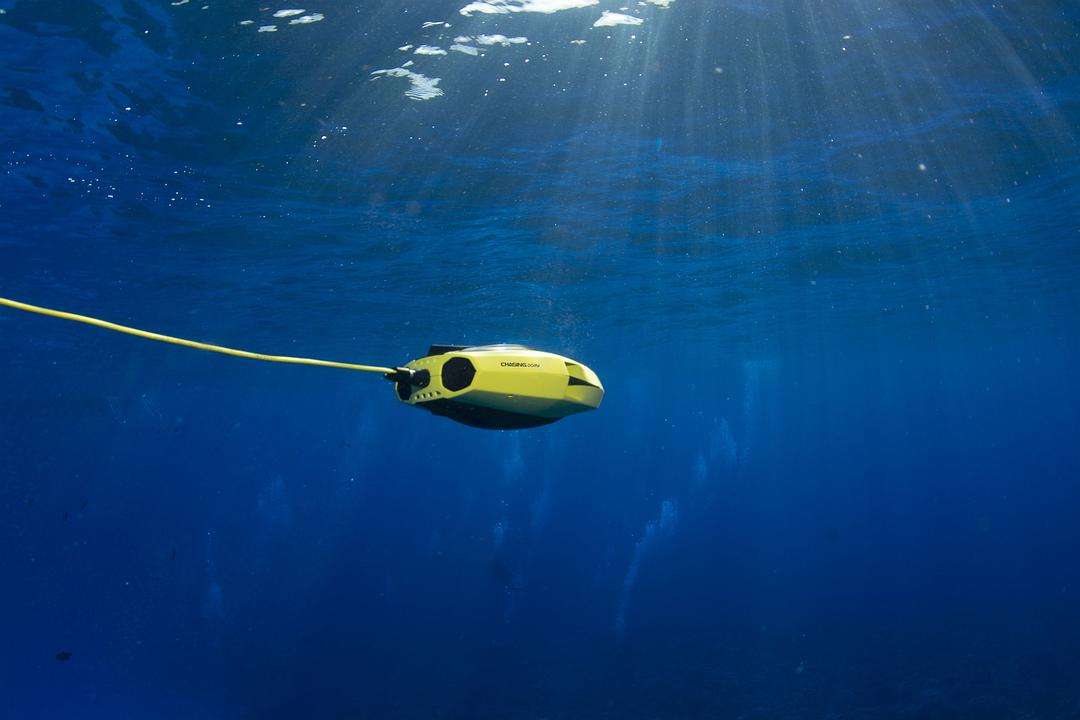 金枪鱼鳍的液压控制，为开发具有液压驱动的软机器鱼提供了灵感