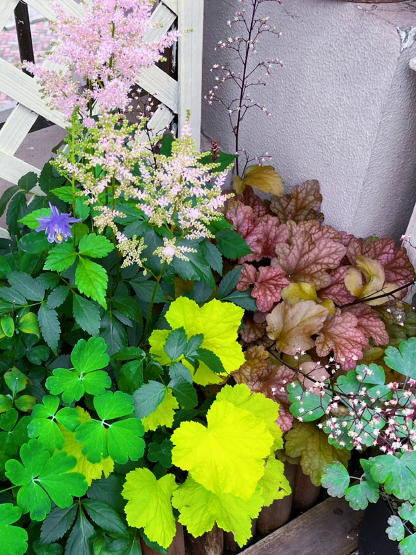 买房子时,免费送的30㎡露台,打造浪漫又实用的空中花园,太美啦